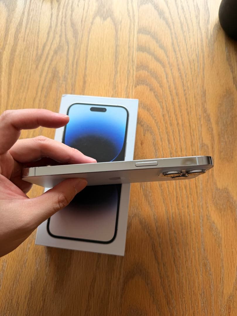 海外　Apple iPhone 14 Pro Max シルバー 本体 256GB