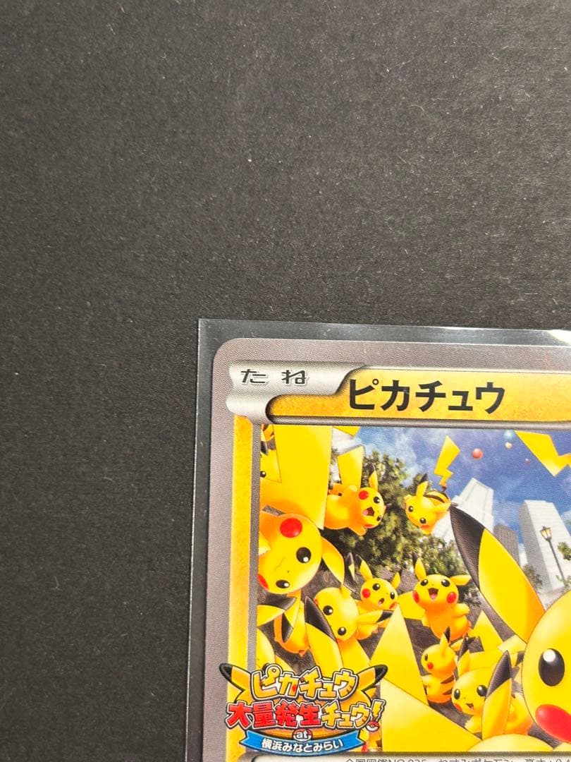 ピカチュウ大量発生チュウ！068