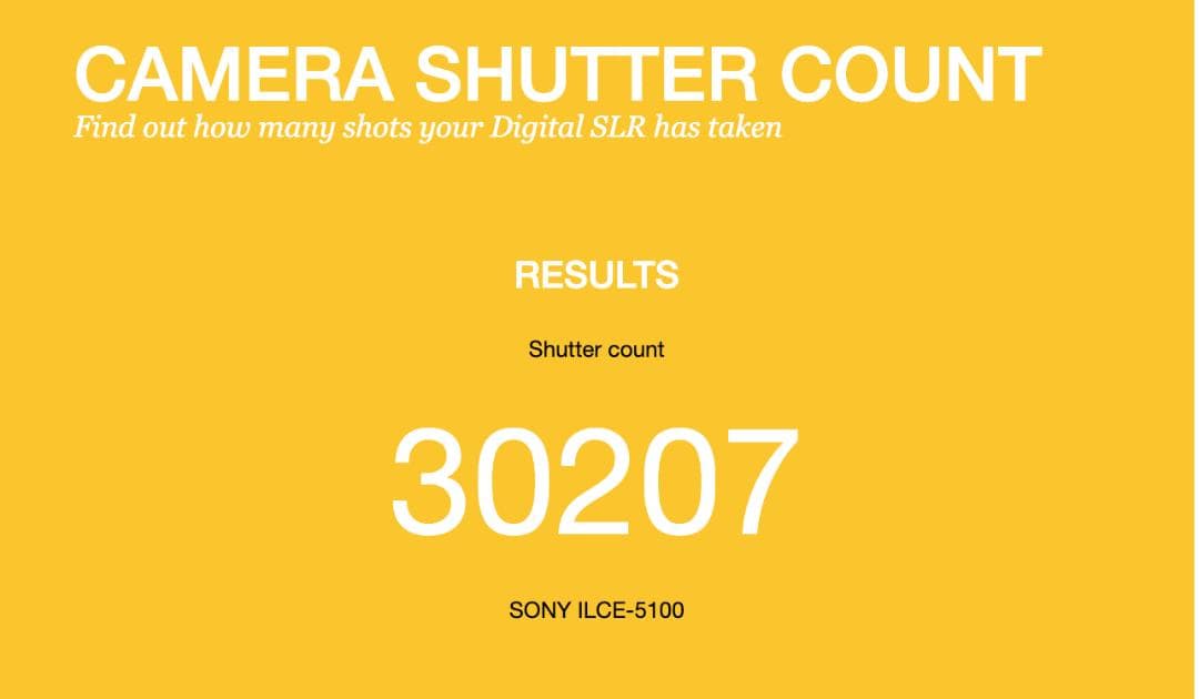 美品 SONY α5100 Wズーム 子供の一瞬を逃さない 世界最速AF 267