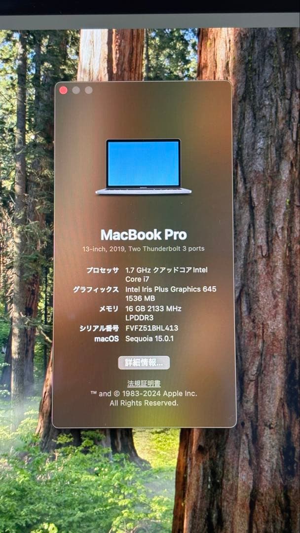 Apple MacBook Pro i7 メモリ16GB 13inch 2019
