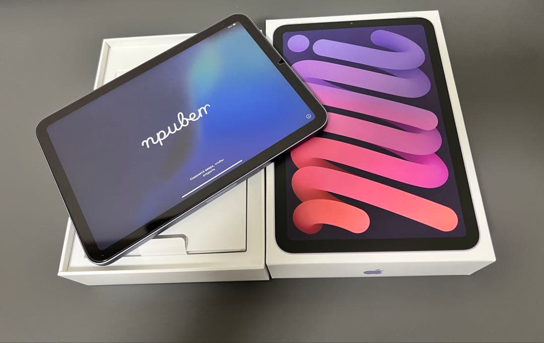 Apple iPad mini (パープル) 6世代 64GB