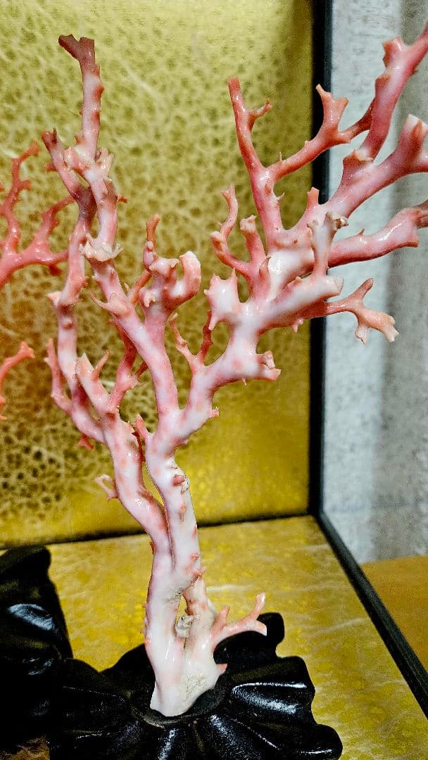 れいこ　　　珊瑚　サンゴ　置物