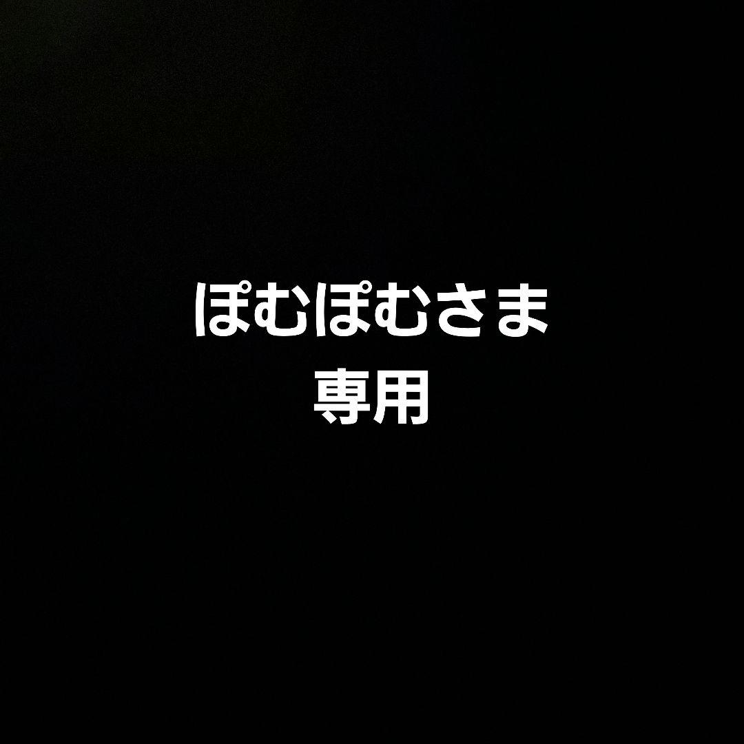 ぽむぽむさま専用