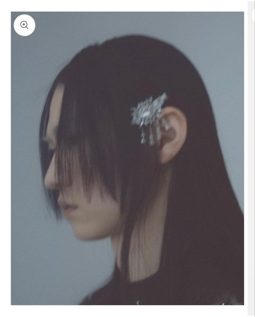 Tanaka Daisuke / crystal hair clip 左用