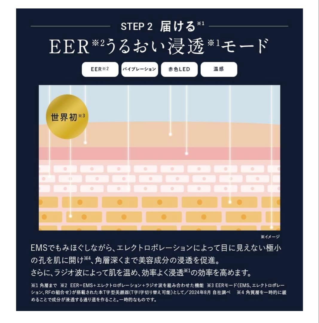 【正規品】アンファー　DISM ディズム　美顔器