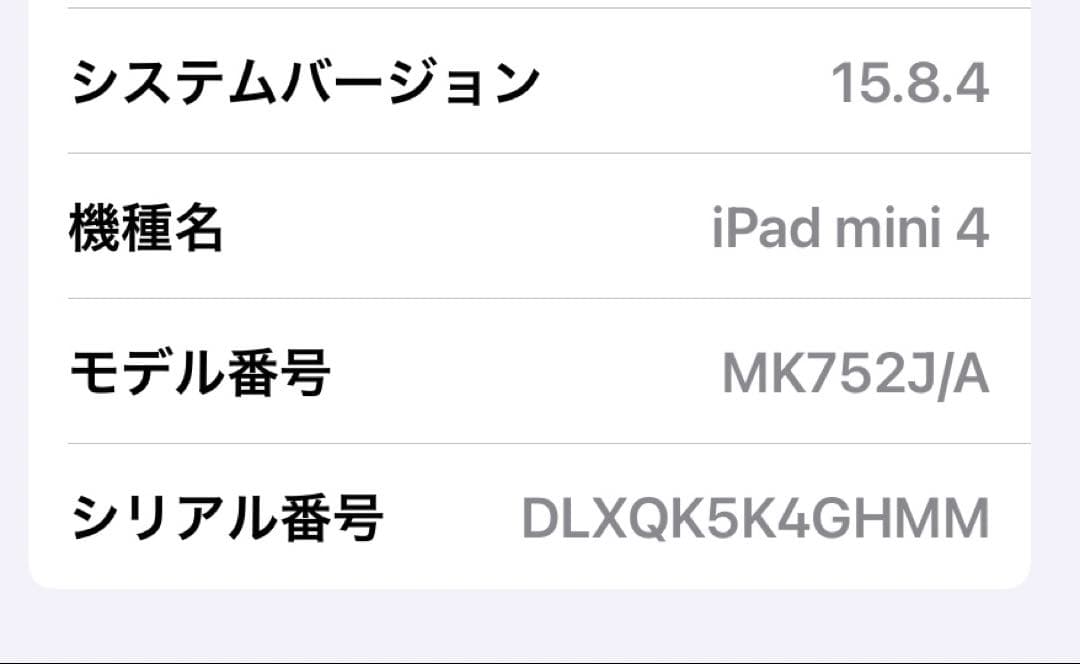 美品⭐︎iPad mini 4 Wi-Fi+ Cellular 64GB 充電器付