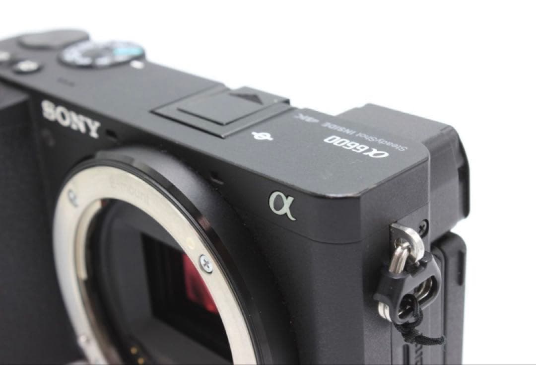 ⭐︎ショット数\"1782回\"⭐︎ SONYα6600 ボディ