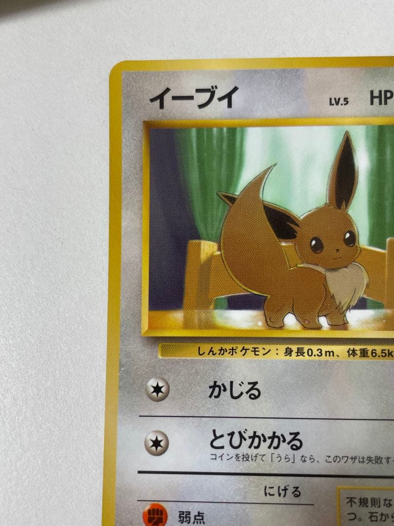 イーブイ 旧裏 ポケモンカード pokemon レア 当時品 拡張 ポケカ