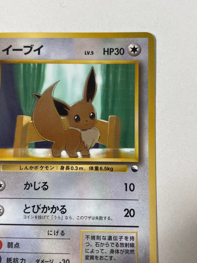 イーブイ 旧裏 ポケモンカード pokemon レア 当時品 拡張 ポケカ