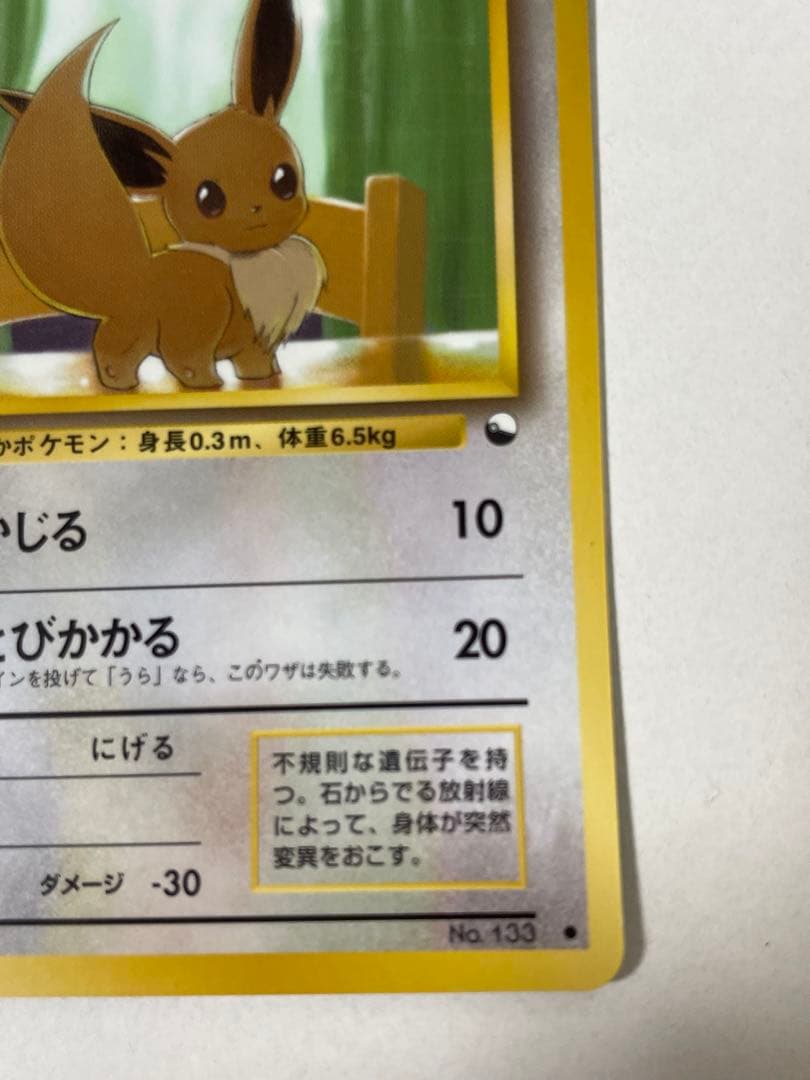 イーブイ 旧裏 ポケモンカード pokemon レア 当時品 拡張 ポケカ