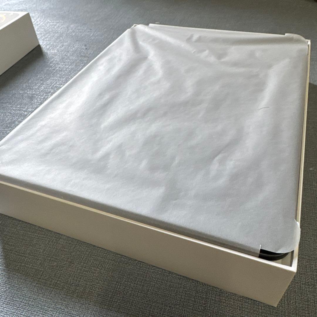 ☆iPad Pro (4M) 13インチ 256GB Wi-Fiモデル