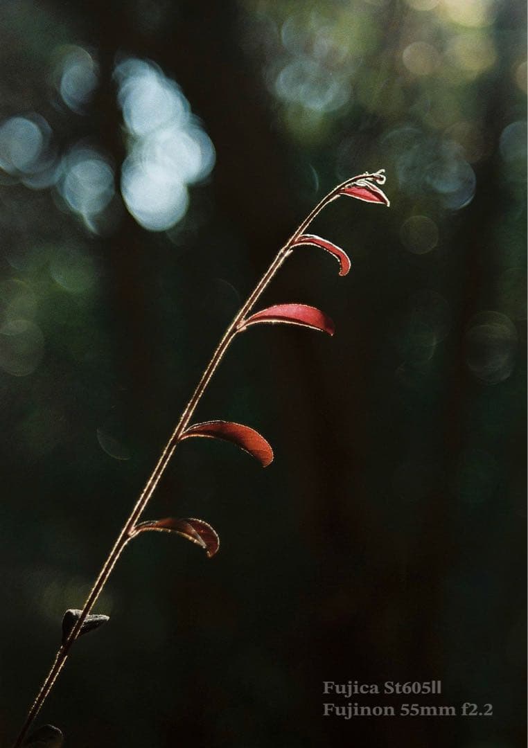 fujica st605ii＊fujinon 55mm f2.2＊完動品・美品