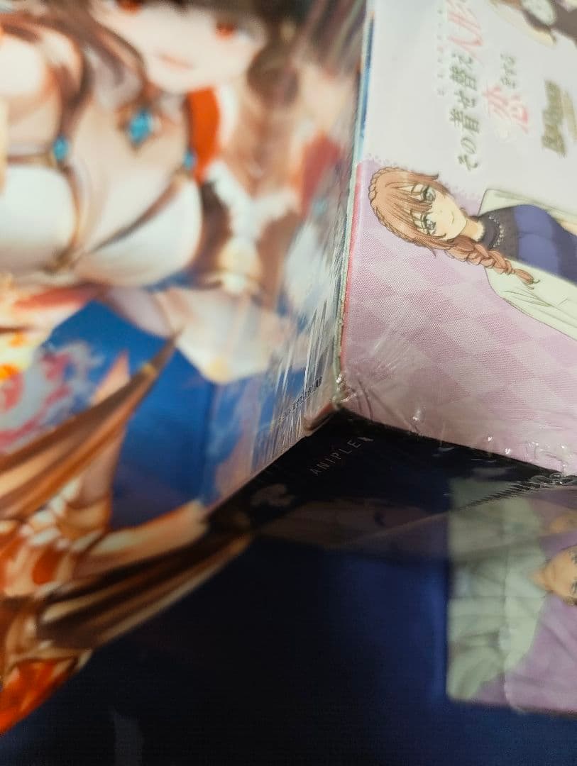 ビルディバイド　シュリンク付　その着せ替え人形は恋をする　着せ恋　2box