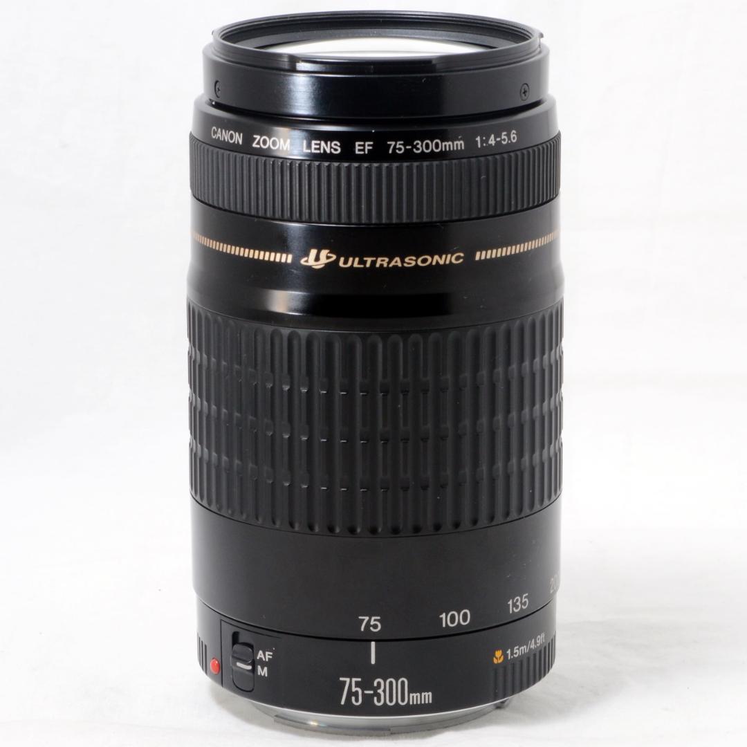 ⭐️美品⭐️Canon キャノン EF 75-300mm F4-5.6 USM