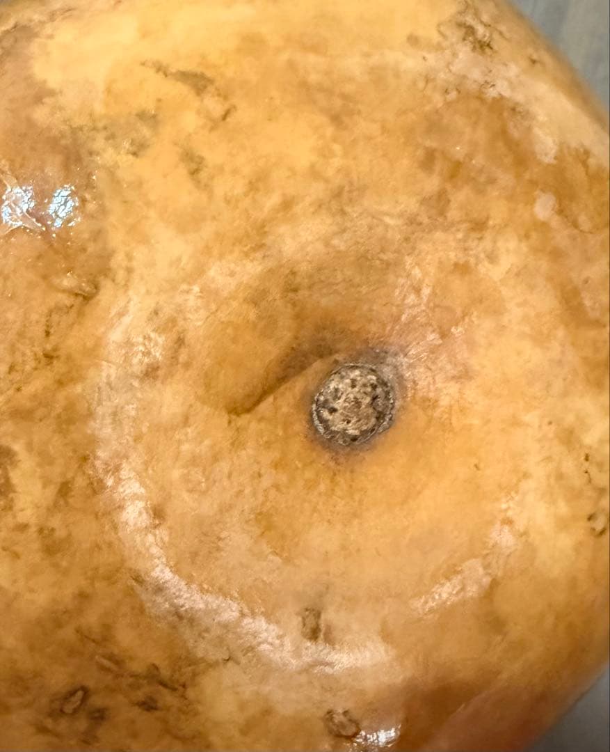 【新品】カウラ付き イプ フラダンス 楽器【送料込み】28