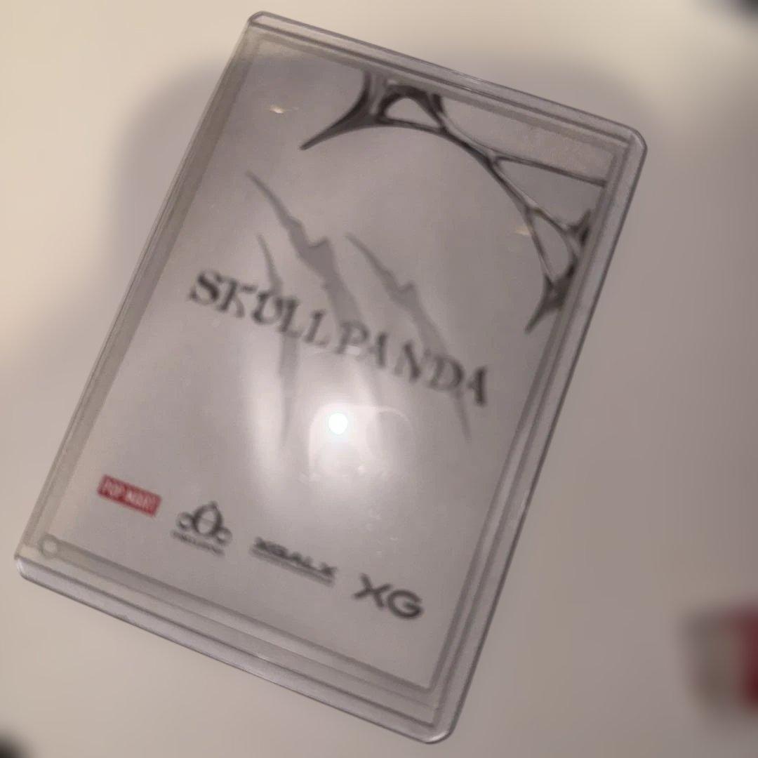 【匿名取引】SKULLPANDA カード XG popmart