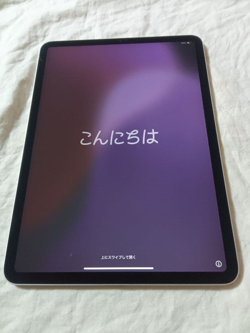 美品 iPad Pro11インチ 第1世代 バッテリー87%