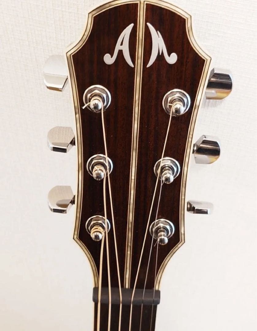 ギター ARIA Meister AMS-01