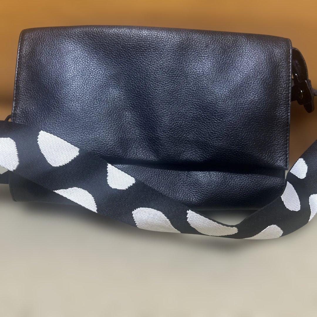 唐揚げ　earPAPILLONNER 柄ワイドテープショルダーバック