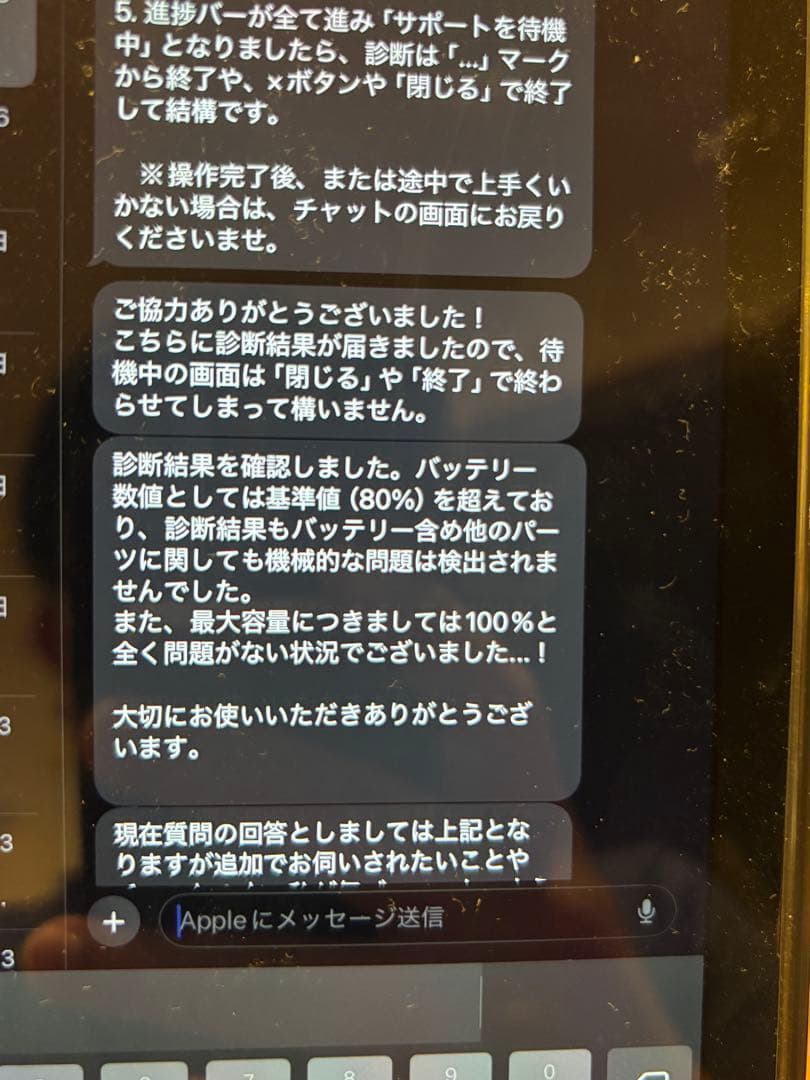 iPad mini6 256GB バッテリー消耗なし100%