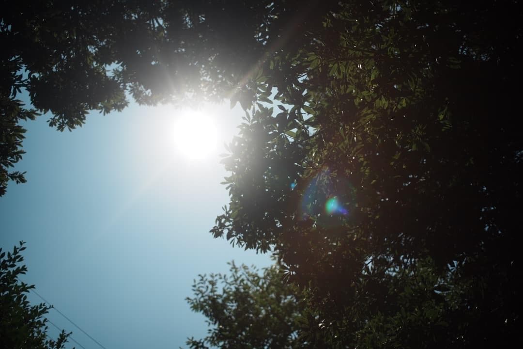 Rikenon P 28mm F2.8｜自然な色とやわらかい描写 713