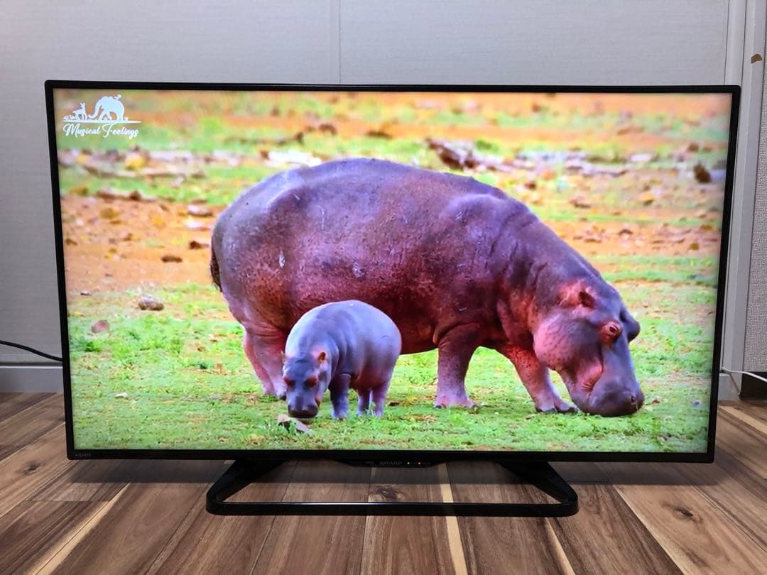 シャープ 40V型液晶テレビ AQUOS LC-40W35 2016年製