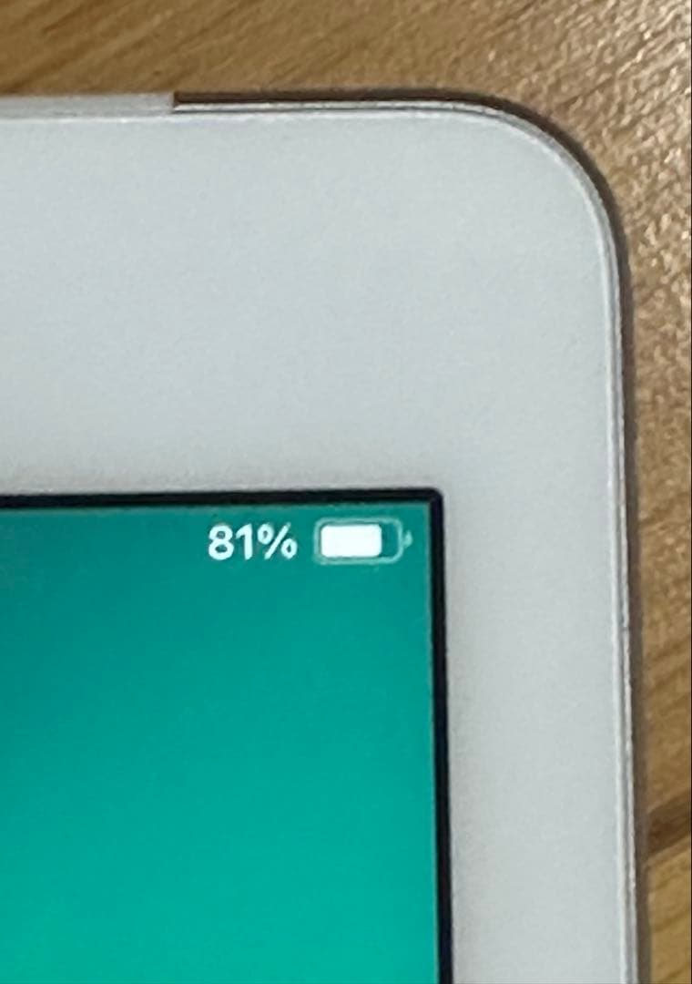 【今日限定4,000円値下げ】Apple iPad 第6世代 シルバー 本体