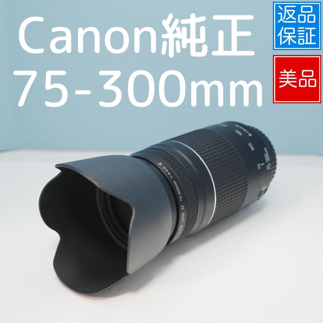 Canon純正 75-300mm 望遠レンズ 極美品 a4896