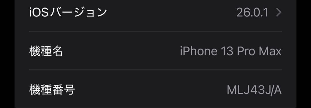 び*こ様 iPhone 13 Pro Max 128GB WiFi
