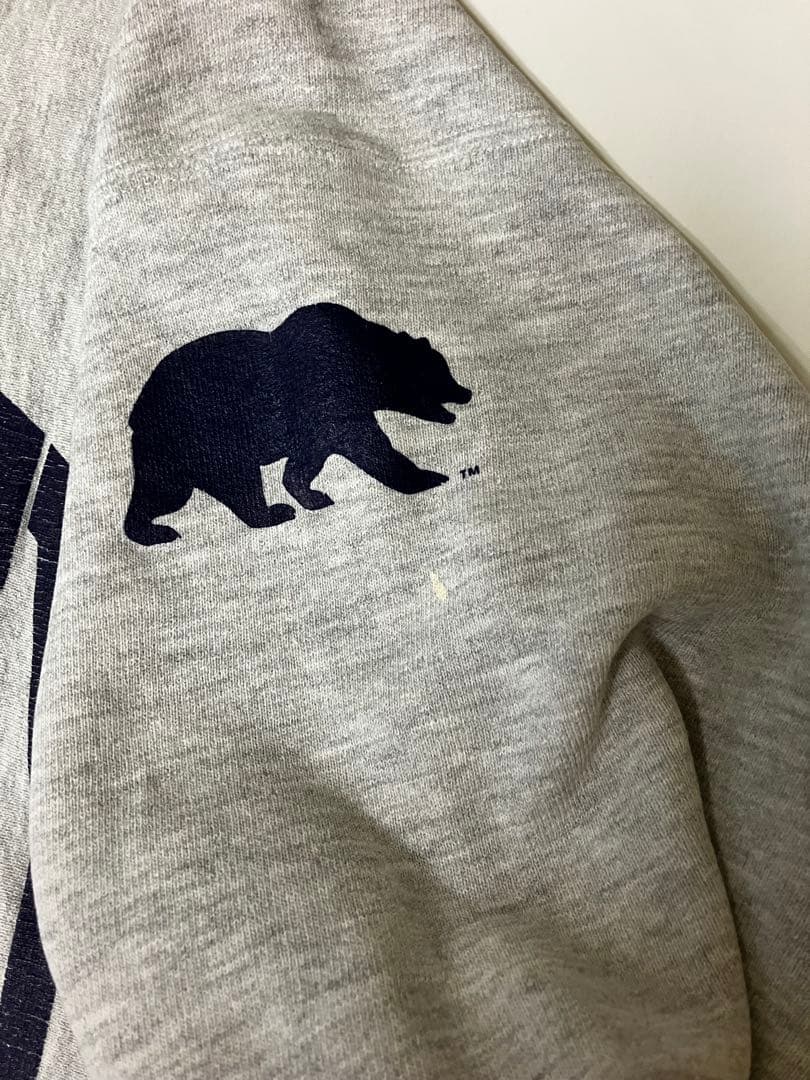 チャンピオン　90's Champion REVERSE WEAVE USA