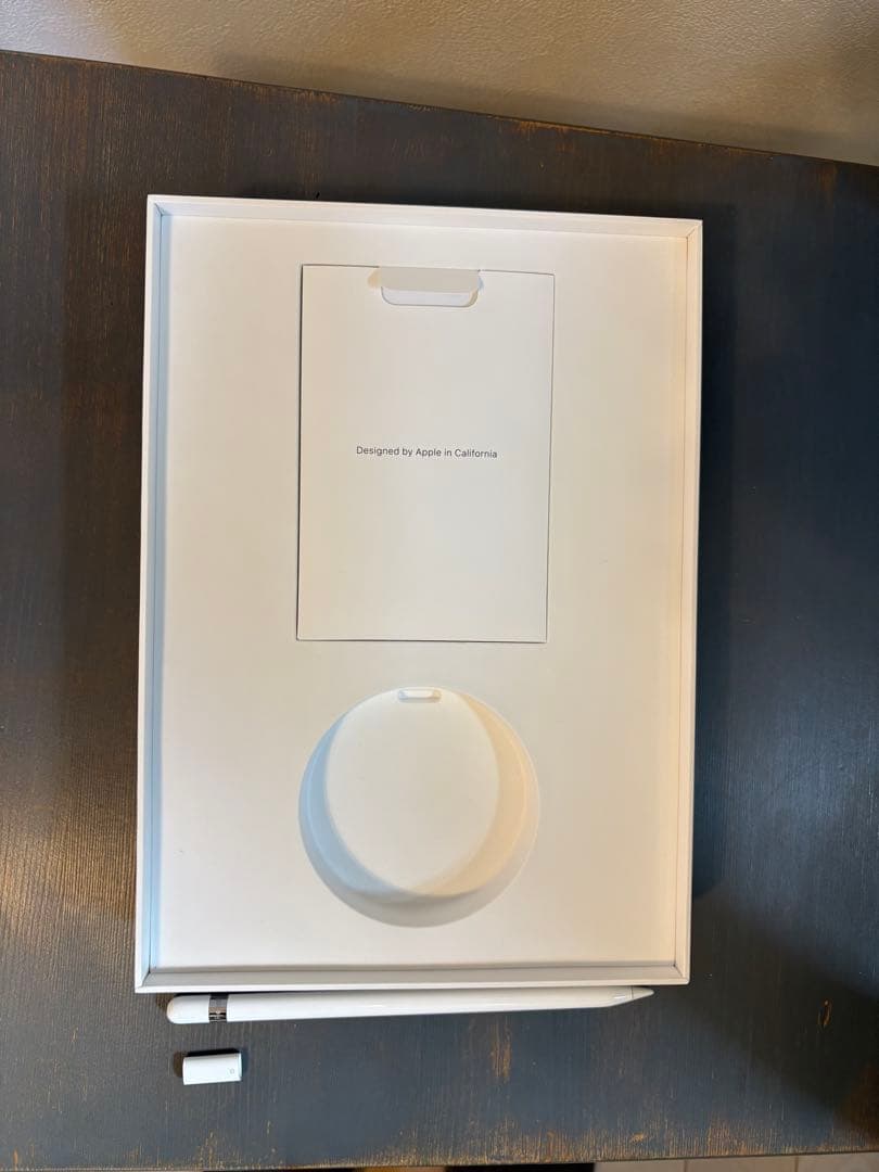 Apple iPad A1893 + Apple Pencil 第一世代