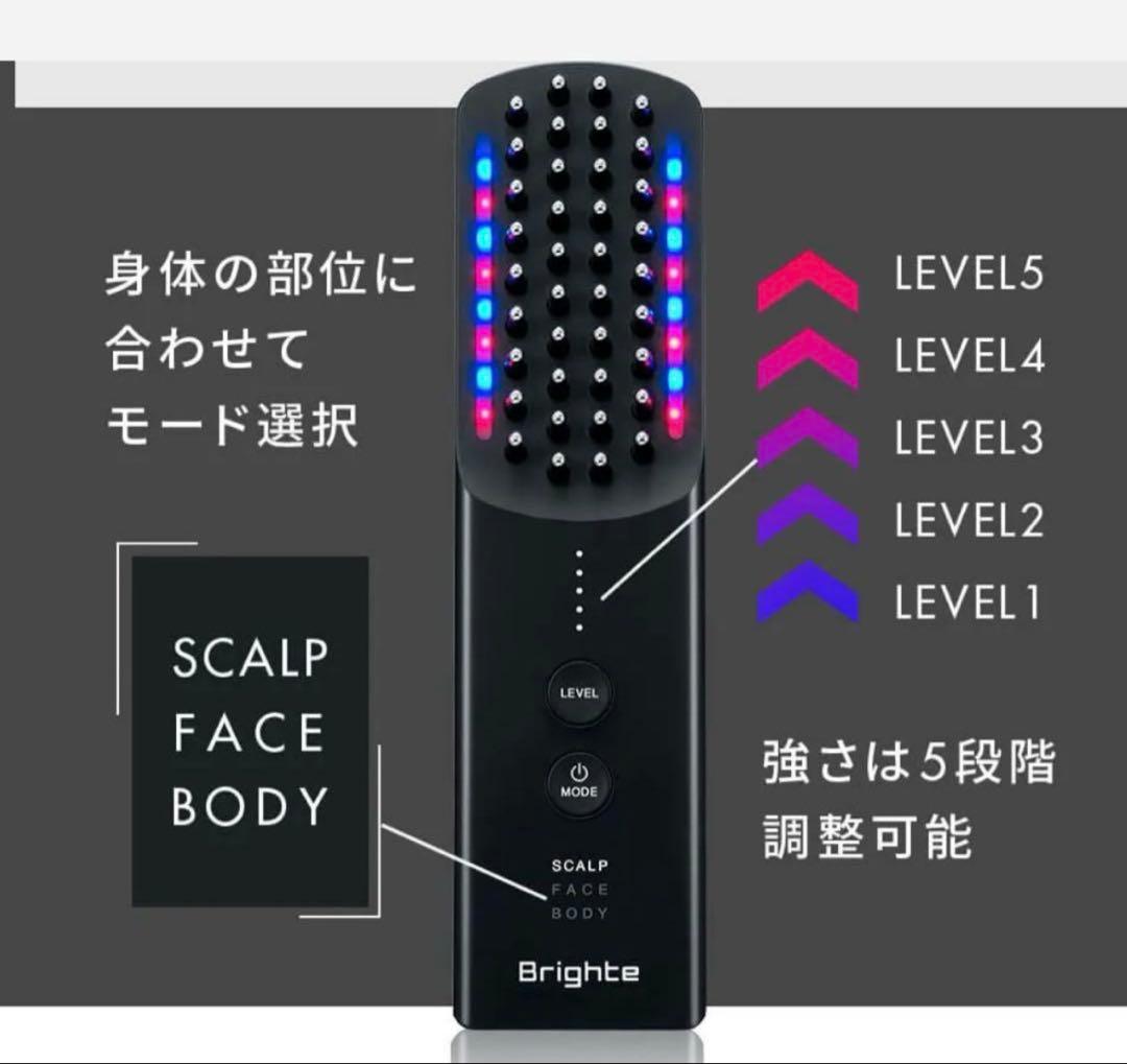 エレキブラシ　極美品