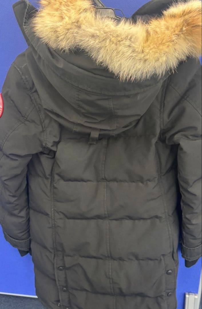 【週末限定価格】  マッケンジー　M