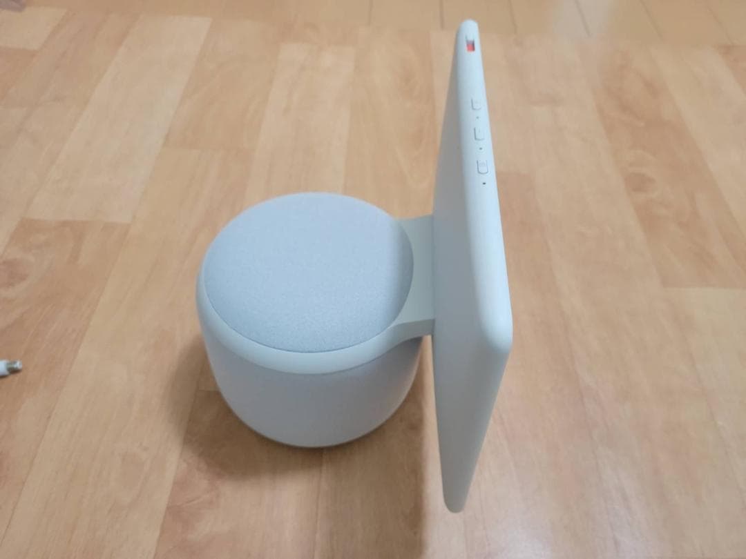 プロフ必読！さま専用　Echo Shoew10 第三世代 グレーシャーホワイト