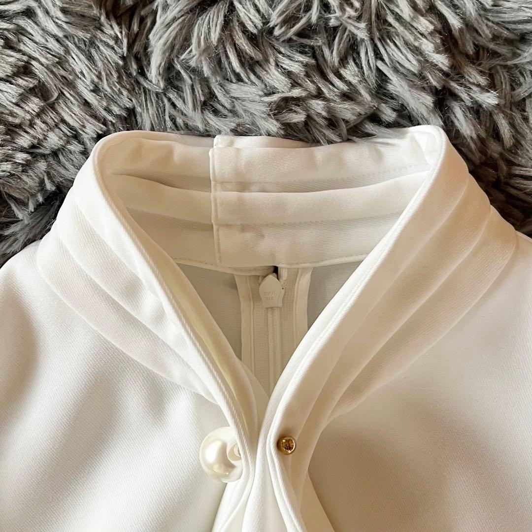 極美品✨ ボーダーズアットバルコニー ボウタイブラウス パール 定価3.7万円