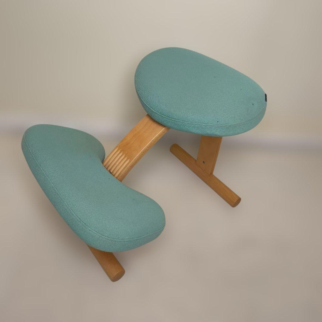 バランスチェア バランス イージー サカモトハウス