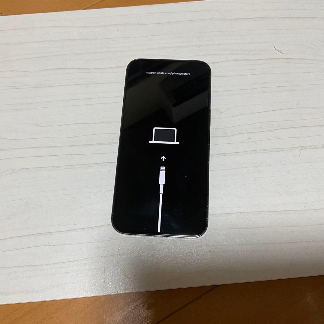 【ジャンク】iPhone14 Pro Max 128GB 起動不可