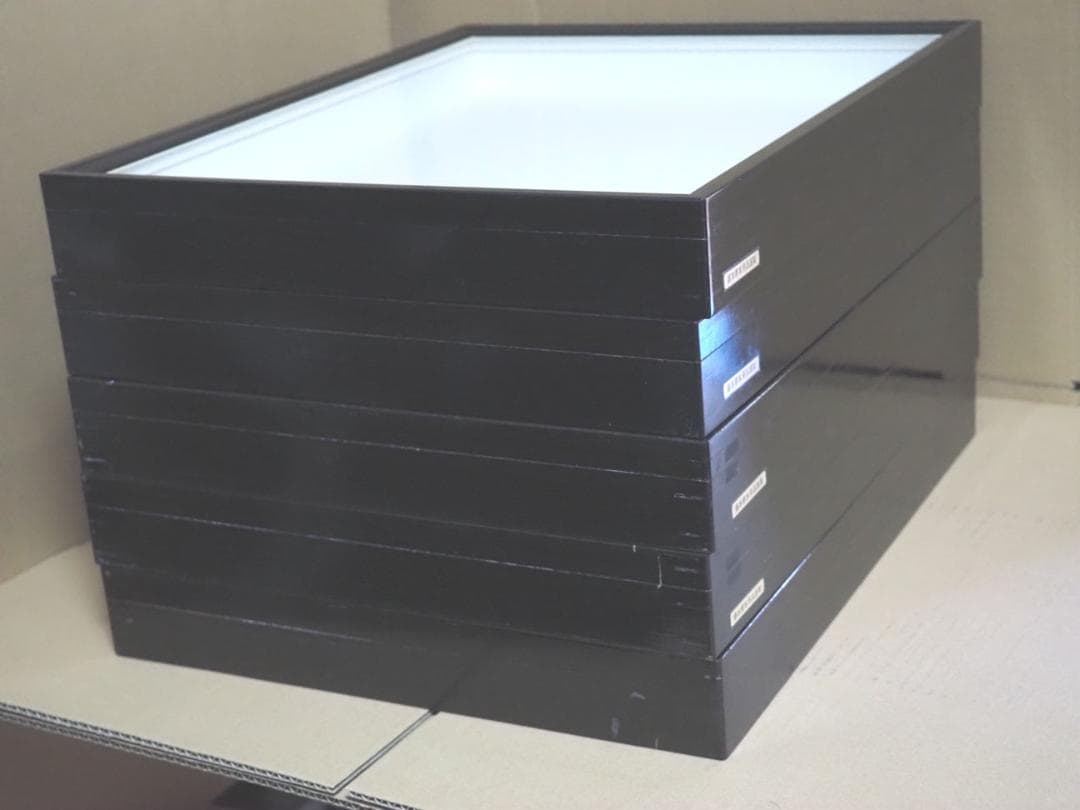 標本箱　ドイツ箱　大型 5個セット(中古、藤本標本用品製等)