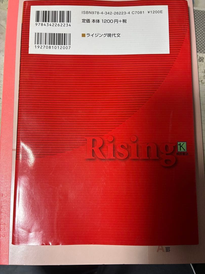 ライジング現代文