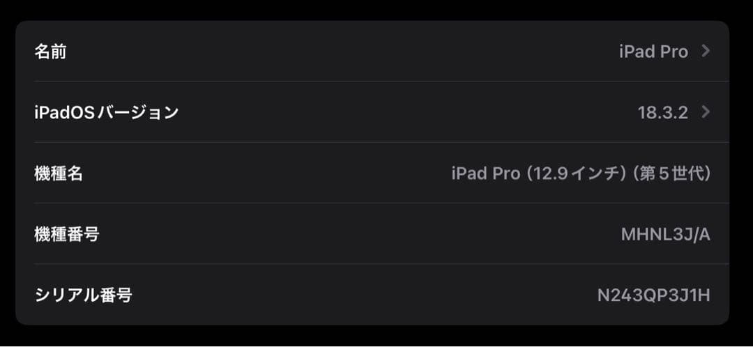 iPad Pro 12.9インチ 第5世代 512GB 最大容量88%