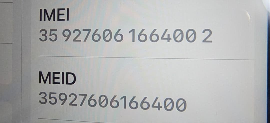iPad mini4 16GB シルバー 本体 MK702J/A docomo