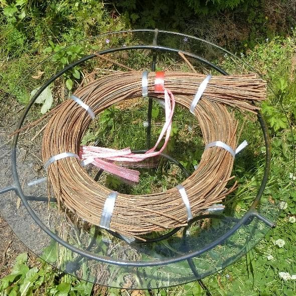 みっくん 青森県岩木山採取　あけび蔓　長 短 各1kg　合計2kg 練習用