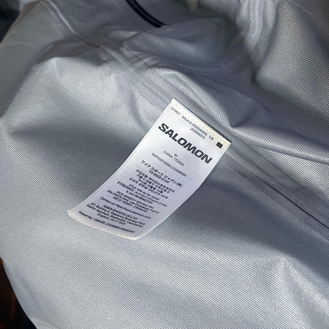 Salomon 韓国限定　gore-tex マウンテンパーカー