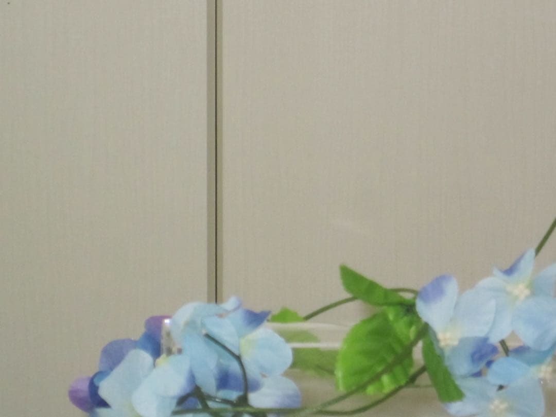 Canon　IXY 200F PC1469 充電器　説明書　コンデジ　動作品