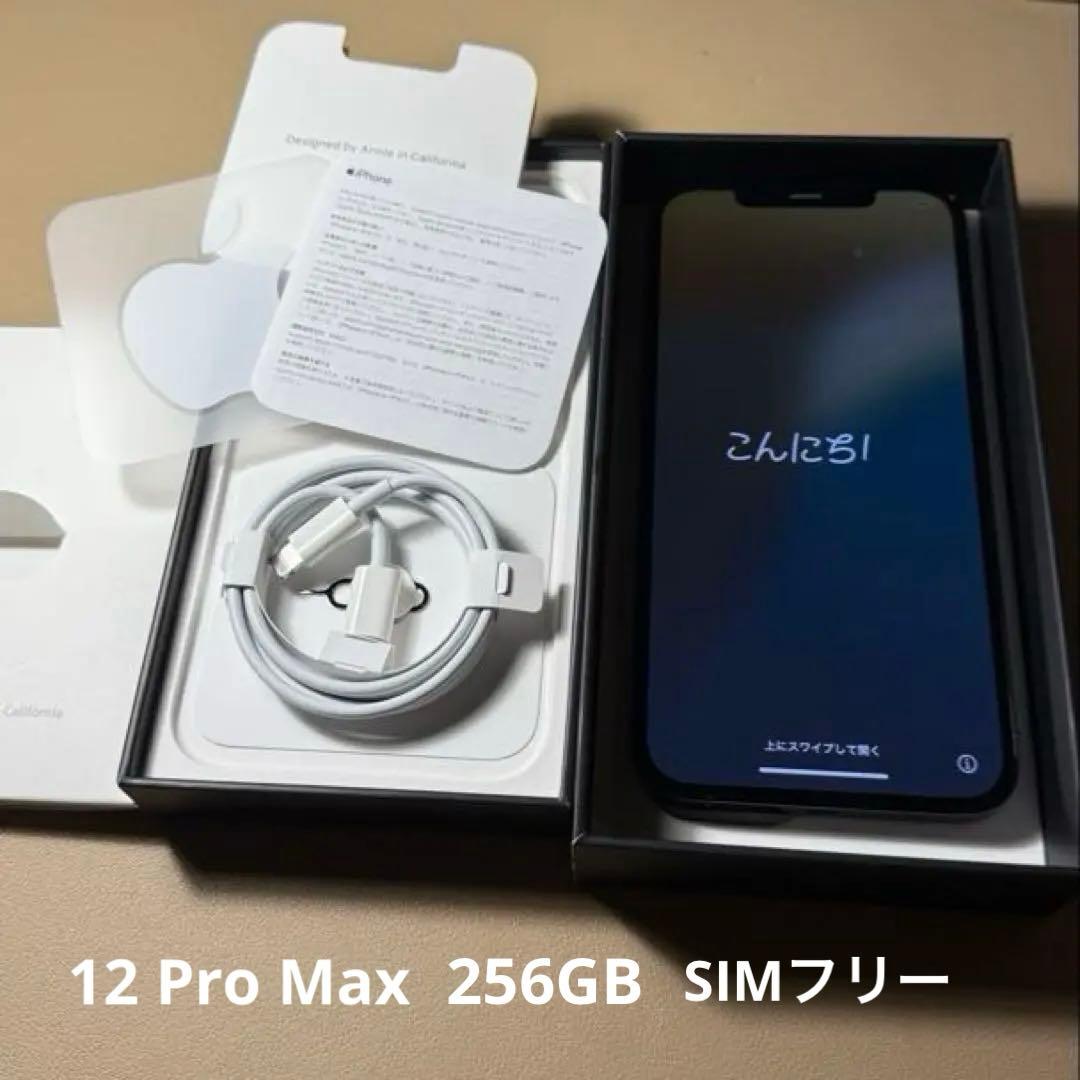 Apple iPhone 12 Pro Max 256GB グラファイ