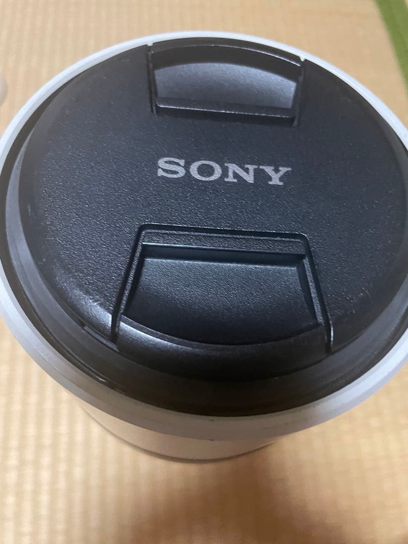 SONY FE 200mm -600mm 超望遠