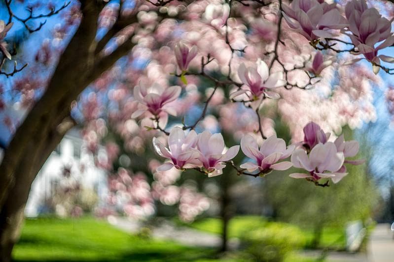 78　新品同様　希少ヘリオス　77M-4　ぐるぐるボケレンズ　　M42