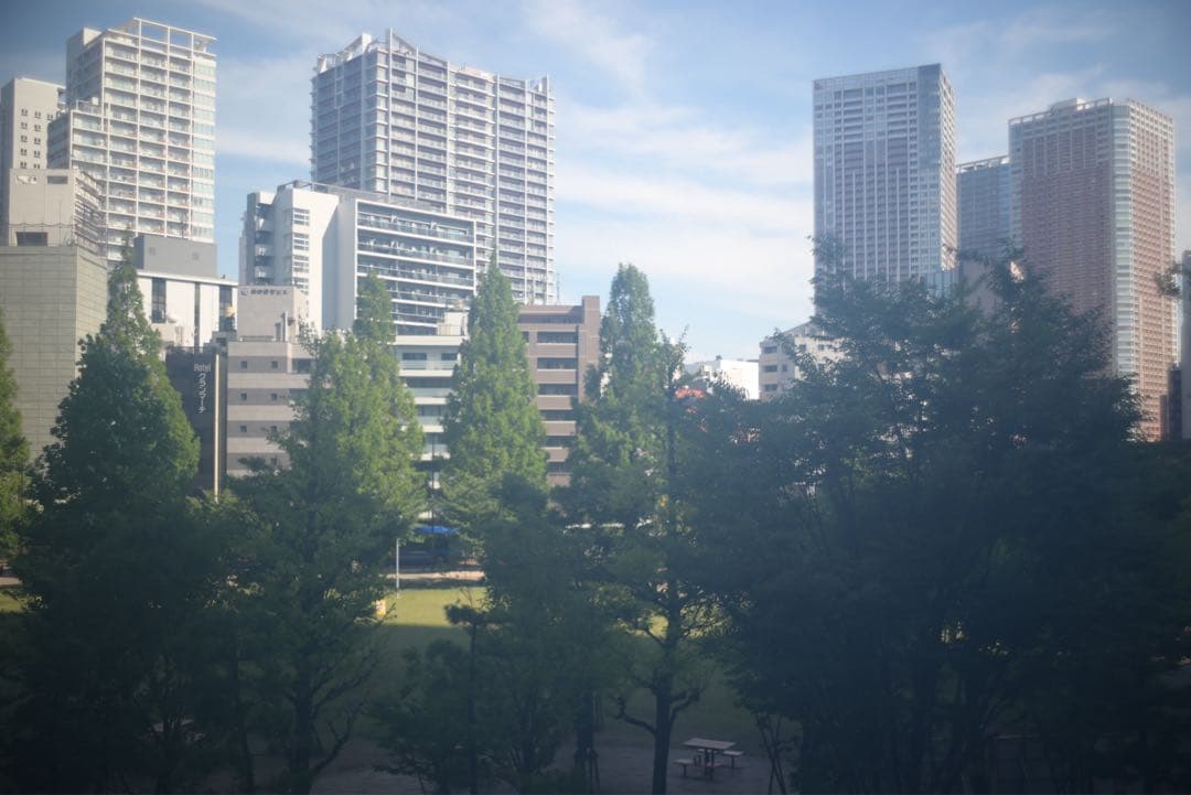 ク*ん様 Carl Zeiss Flektogon 2.8 35mm第1級レトロ