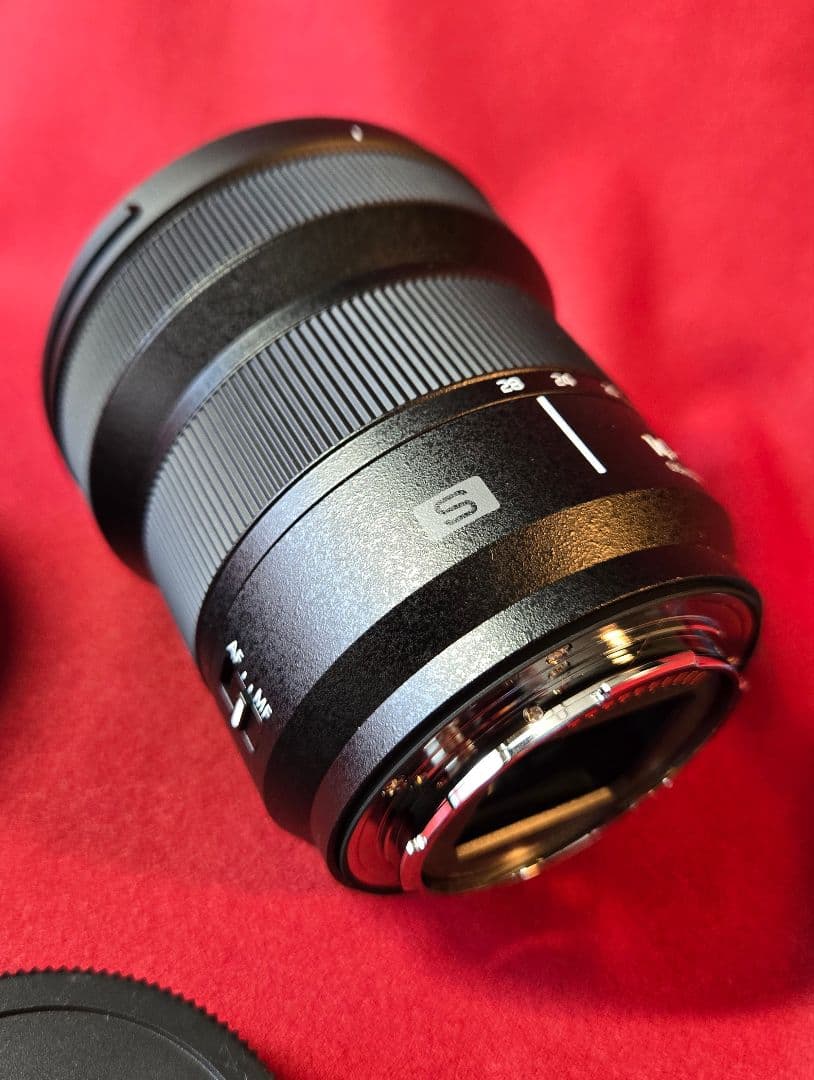 レンズ(ズーム) Panasonic LUMIX S 14-28mm F4-5.6 S-R1428