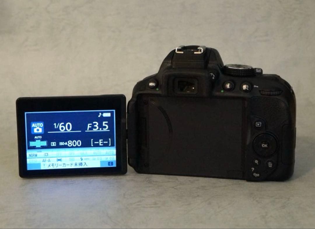 Nikon D5300 AF-S18-５５GiiVR サンパック　PF30X